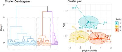 Quality Control of Glehniae Radix, the Root of Glehnia Littoralis Fr. Schmidt ex Miq., Along its Value Chains